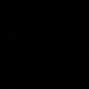 Meet your Posher, Laurel